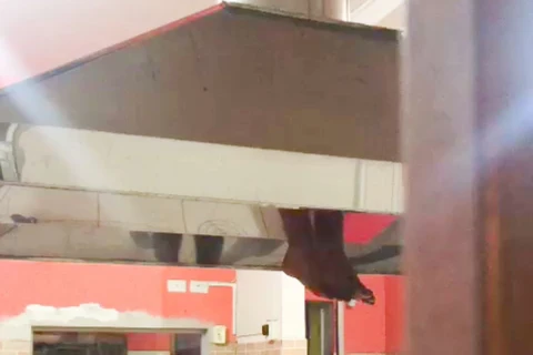 Ladrão tenta invadir restaurante, mas fica entalado em chaminé, no Paraná