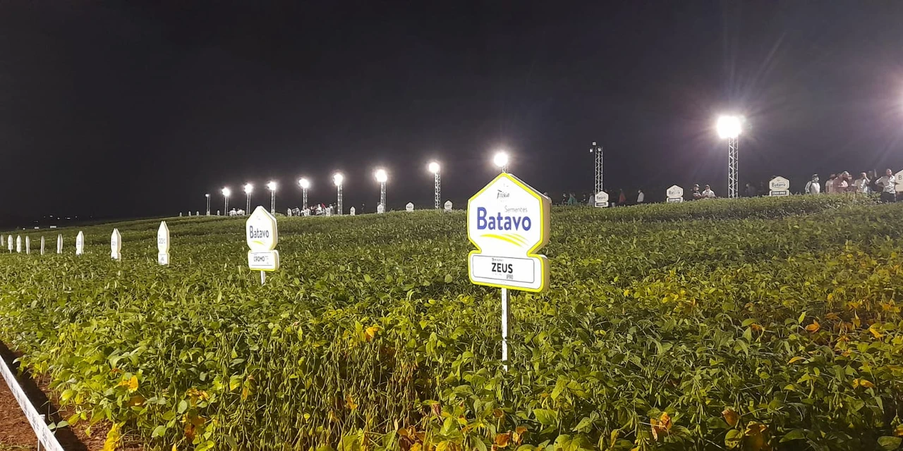 Faltam poucos dias para a realização da “Noite da Soja Sementes Batavo”