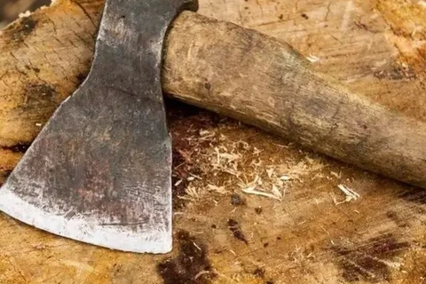 Homem mata gato com machado e limpa sangue no rosto do filho de 4 anos, no PR