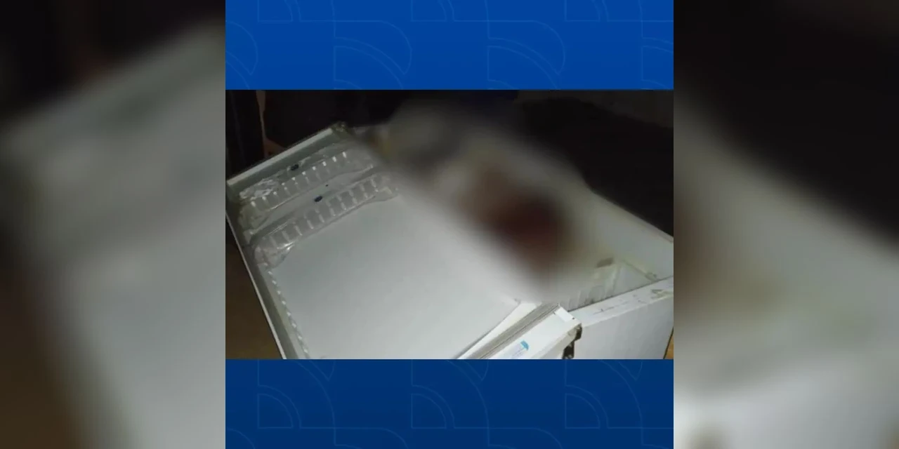 Mulher encontrada dentro de geladeira foi morta com cacos de vidro, diz polícia