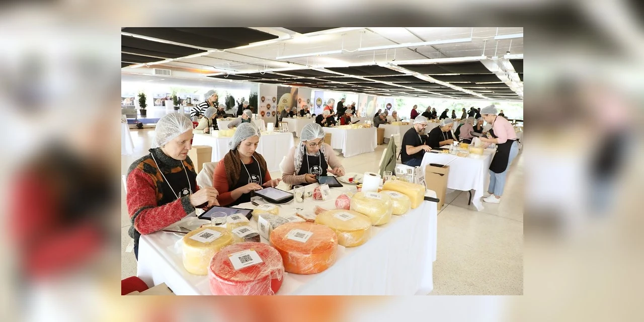 Queijos produzidos em Palmeira recebem prêmio dos melhores do Paraná