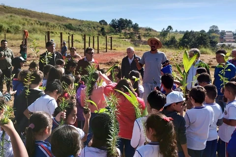 Dia do Meio Ambiente: Alunos da E. M. Gonçalves Lêdo plantam 200 árvores em área de nascente
