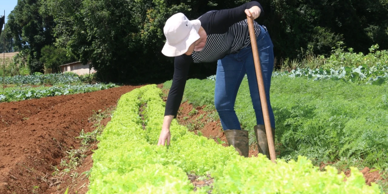 Tibagi promove evento em alusão ao Dia Nacional do Produtor Rural