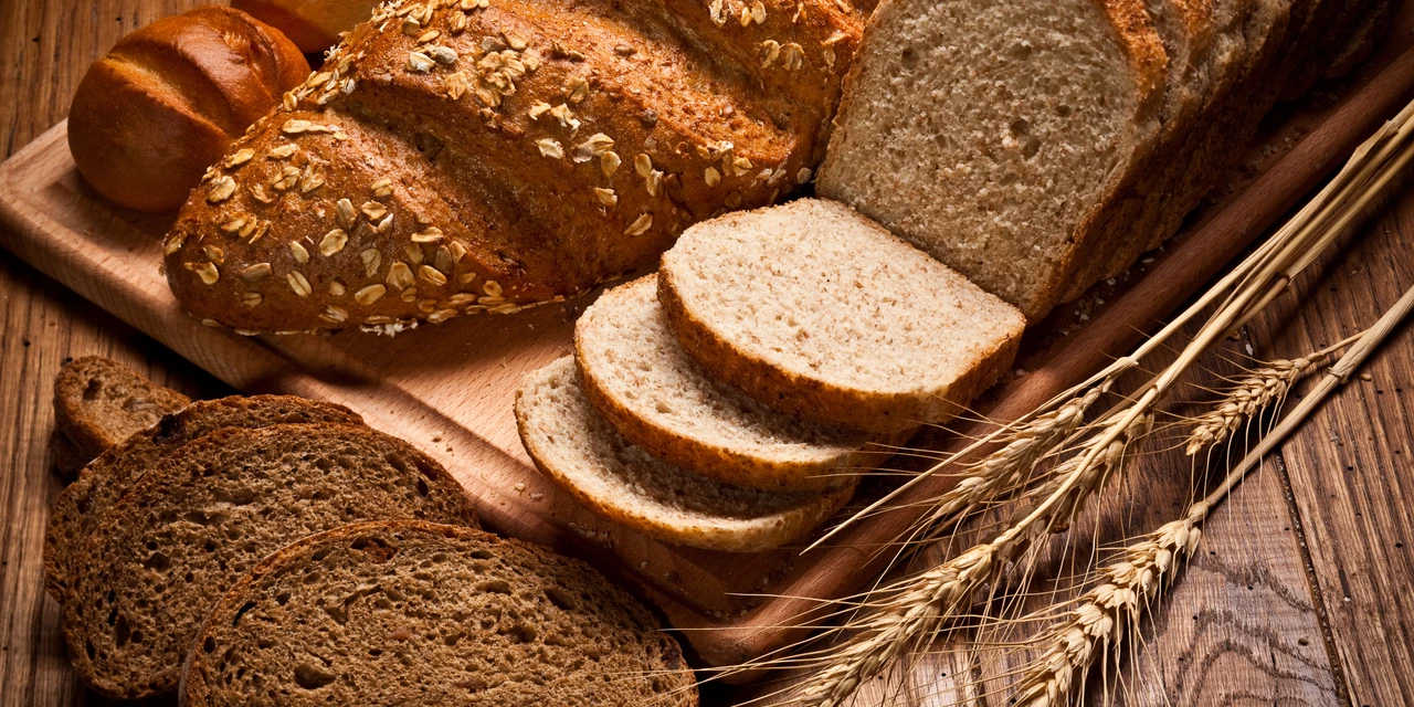 Prefeitura abre, a partir de segunda-feira (25), inscrições para 4 cursos profissionalizantes