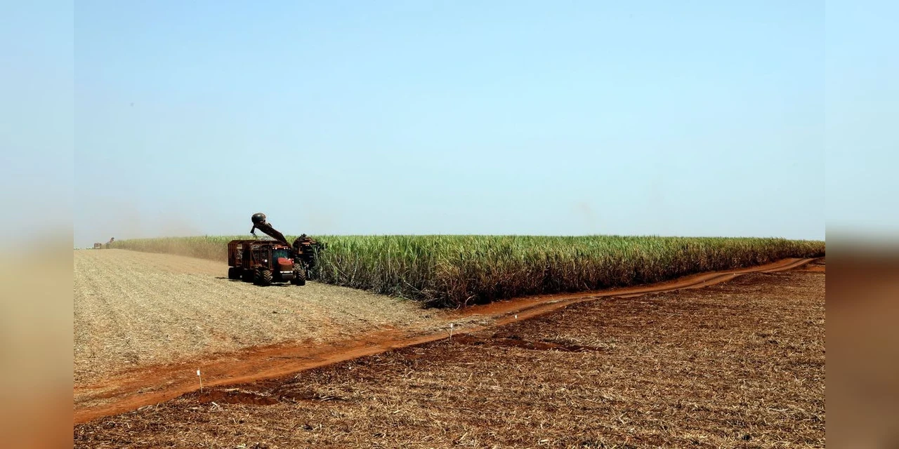 SEMANA QUE VEM! Tibagi realiza evento para valorizar mulheres do campo