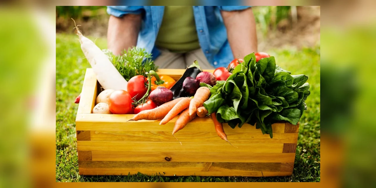 Os desafios globais da segurança alimentar e o setor de fertilizantes