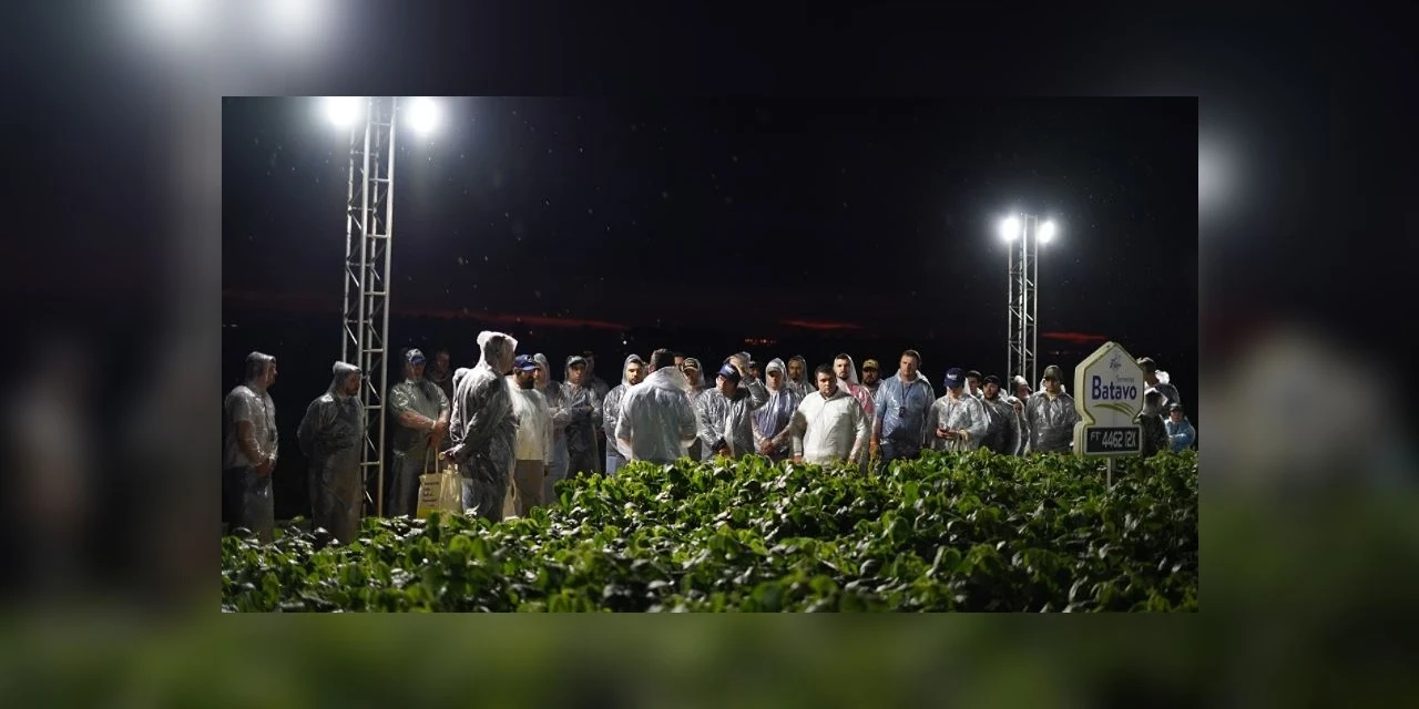 Sementes Batavo, da Frísia, apresenta as principais cultivares das maiores obtentoras de soja do Brasil