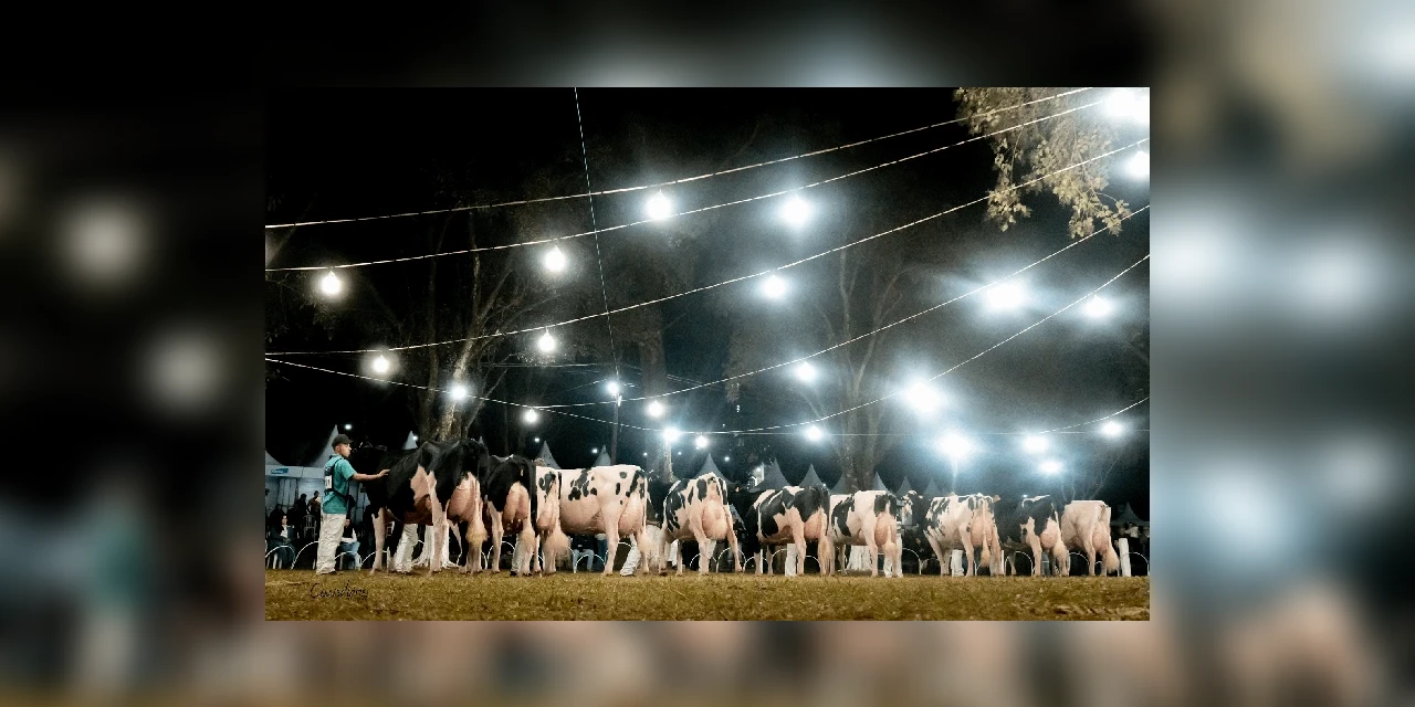 Expoleite comemora 50 edições nesta semana com programação ampliada e em espaço revitalizado