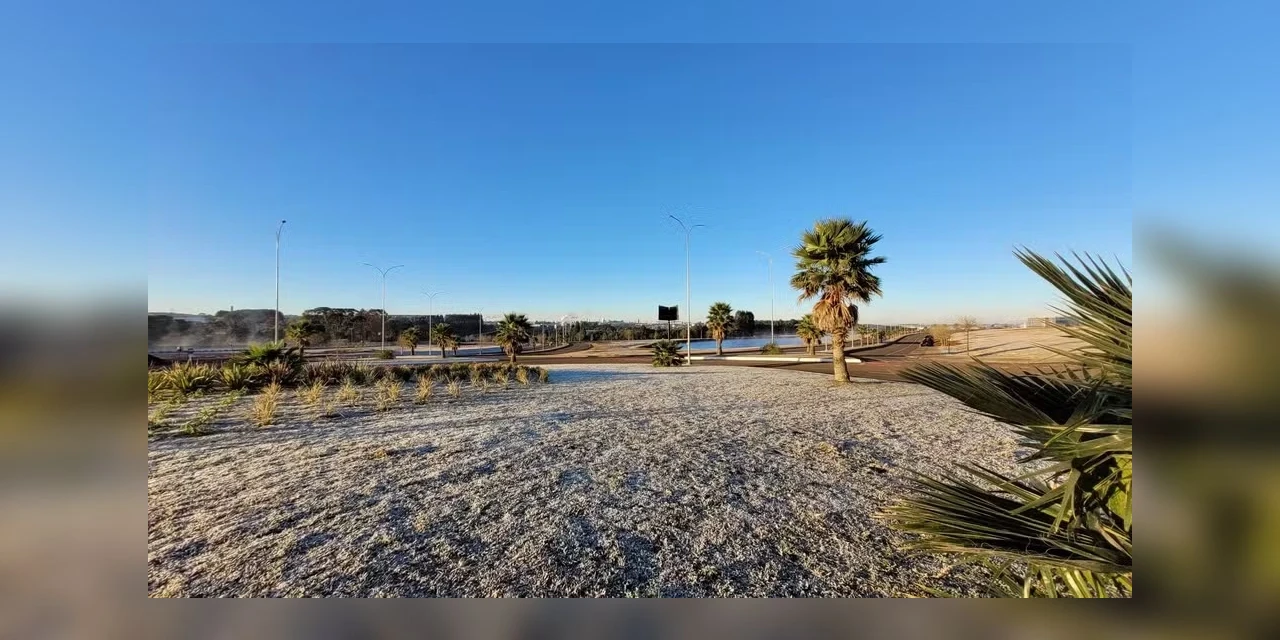 Com geadas, Paraná registra -5ºC e 12 cidades têm dia mais frio do ano, diz Simepar; veja lista