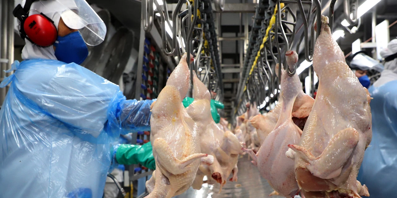 Supermercado do mundo: Paraná exporta alimentos e bebidas para 172 países