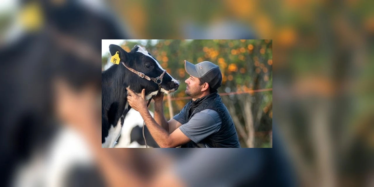 Criador dos Campos Gerais dobra produção leiteira com soluções da IAMAX