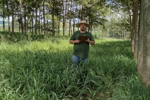 O que o Dia Nacional da Silvicultura tem a ver com você?