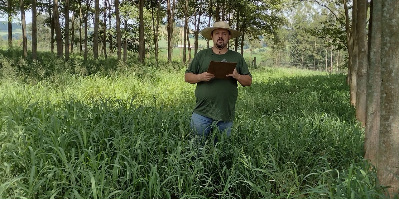 O que o Dia Nacional da Silvicultura tem a ver com você?