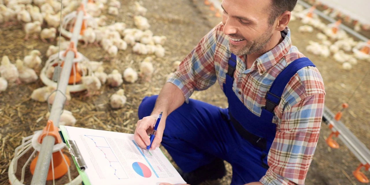 CooperaCom EAD lança com o apoio do SESCOOP/PR mais de 40 cursos para cooperativas do Paraná