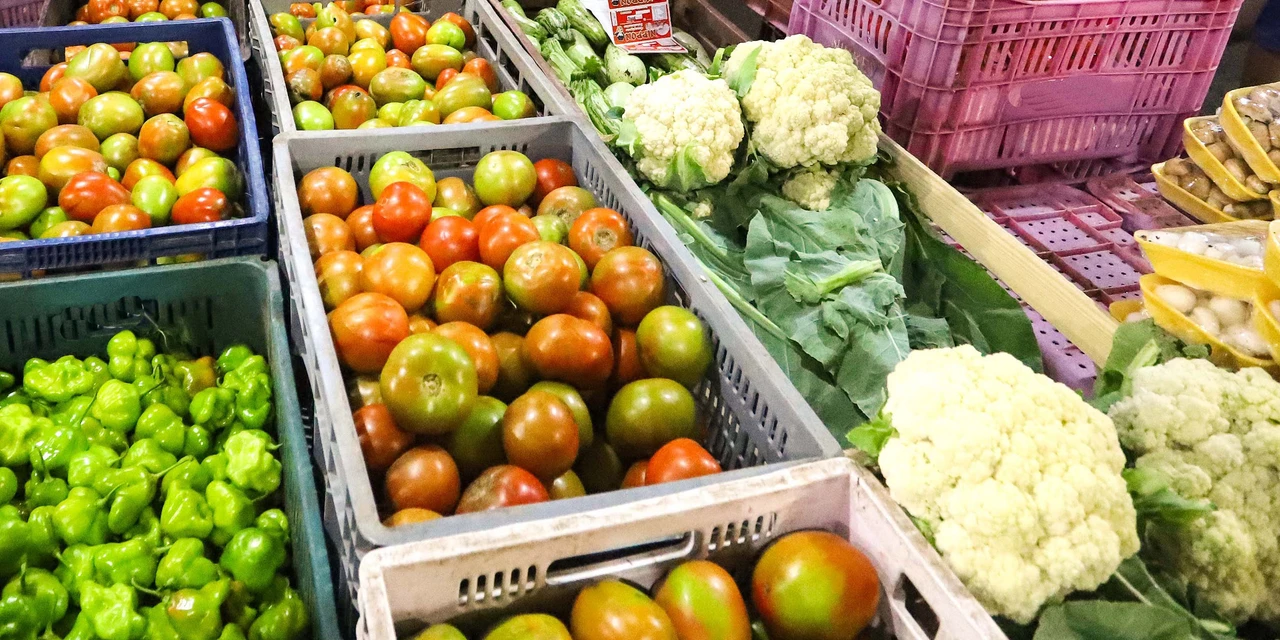 Compra Direta prevê R$ 77 milhões para adquirir alimentos de agricultores do Paraná