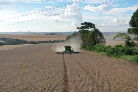 Safra de verão: Capal promove evento de mobilização da equipe, com foco em segurança e qualidade