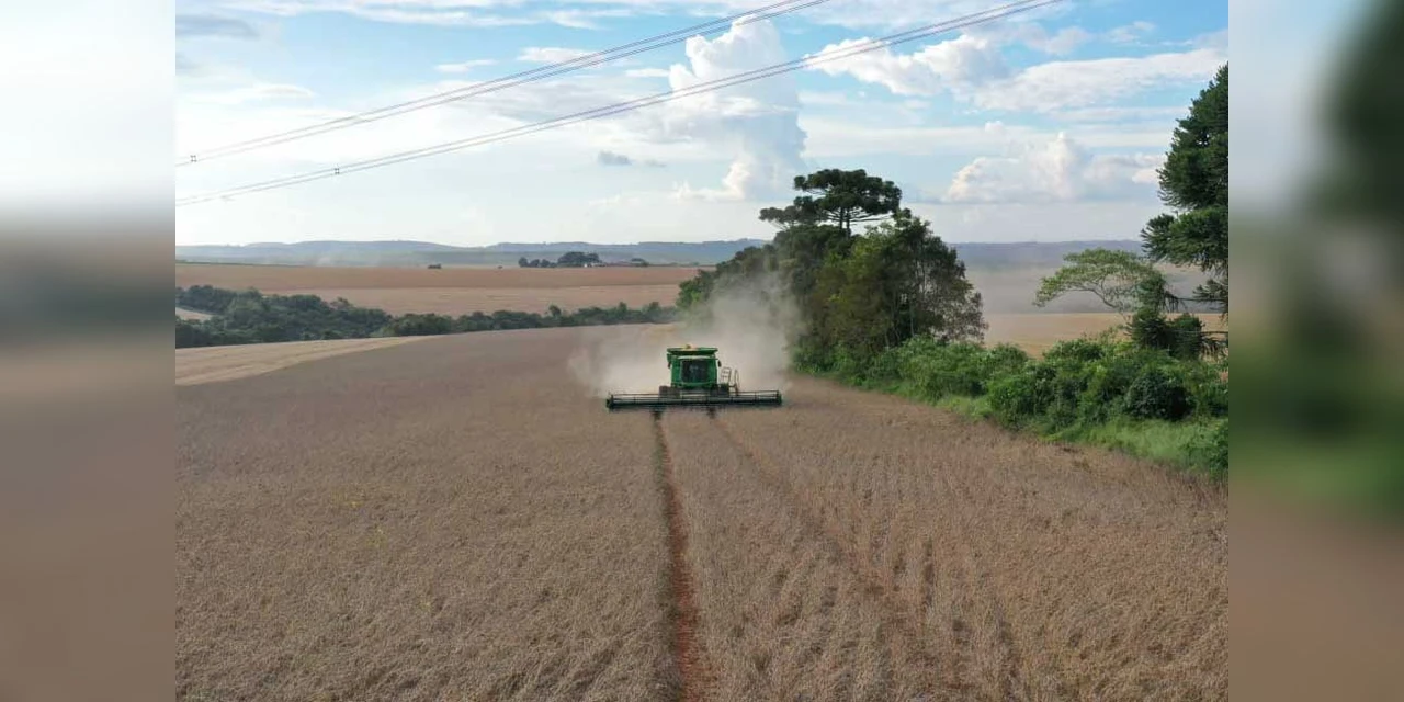 Safra de verão: Capal promove evento de mobilização da equipe, com foco em segurança e qualidade