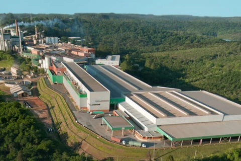 Klabin tem 50 vagas de trainee abertas no Paraná