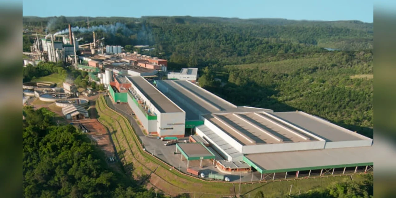 Klabin tem 50 vagas de trainee abertas no Paraná