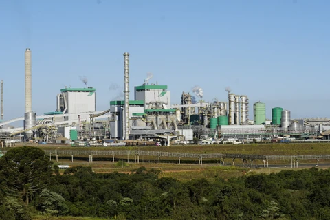 Programa de Aprendizagem da Klabin está com vagas abertas no Paraná