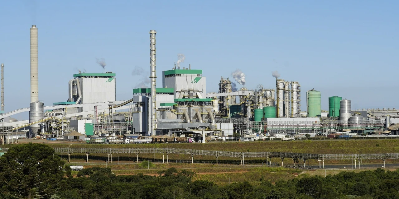 Programa de Aprendizagem da Klabin está com vagas abertas no Paraná