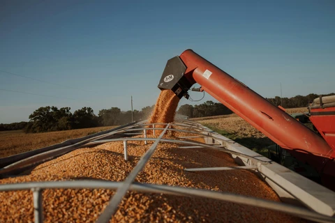 Últimos dias para os agricultores se inscreverem no Concurso de Produtividade no Milho Inverno 2025