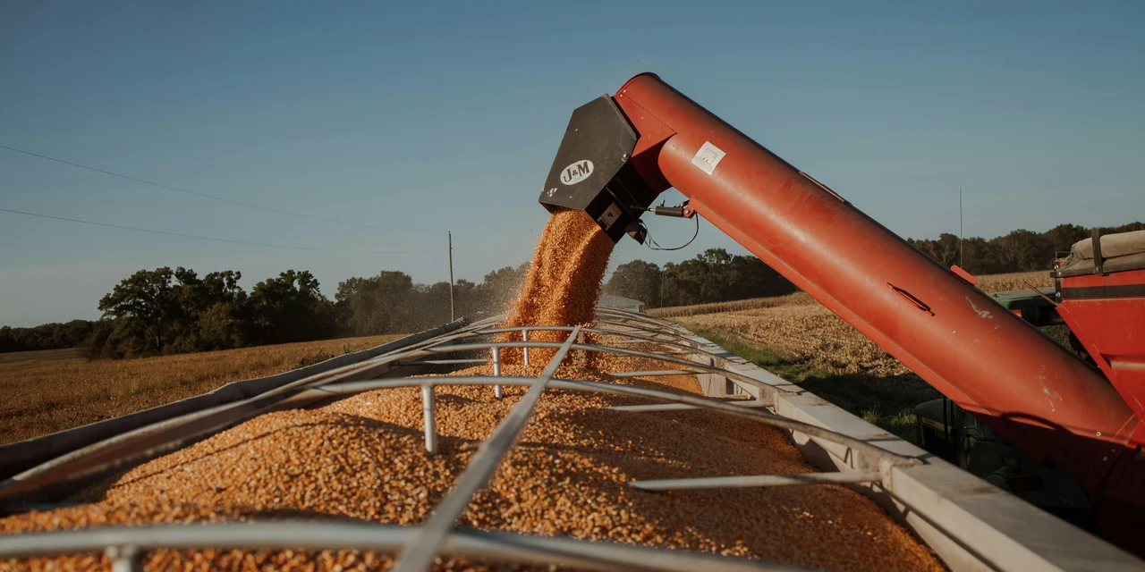 Últimos dias para os agricultores se inscreverem no Concurso de Produtividade no Milho Inverno 2025