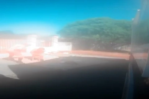 Vídeo flagra ataque de pitbull contra coletores de lixo em PG