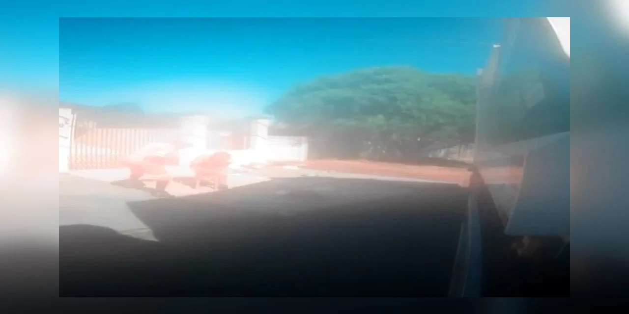 Vídeo flagra ataque de pitbull contra coletores de lixo em PG