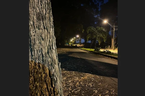 Jovem de 28 anos morre atropelado na estrada das Brotas, em Piraí do Sul