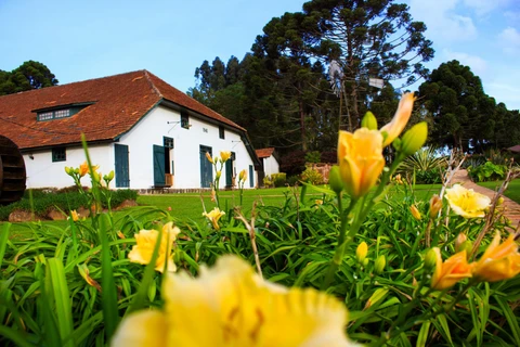 Museu Parque Histórico de Carambeí celebra Dia Mundial do Leite