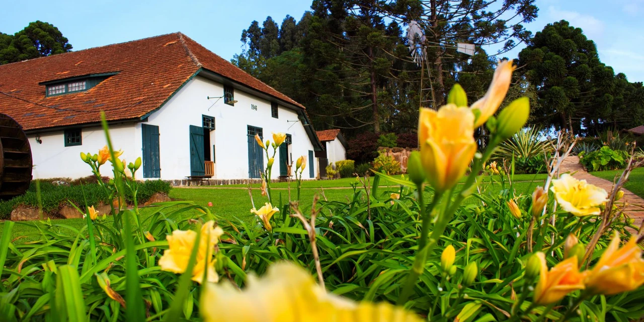 Museu Parque Histórico de Carambeí celebra Dia Mundial do Leite