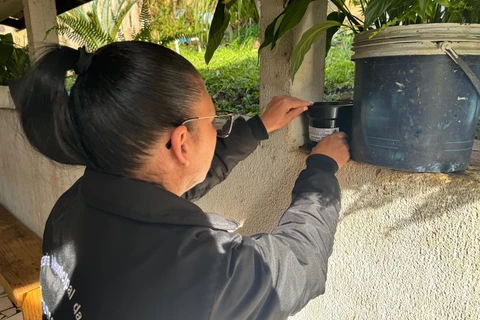 Vigilância Ambiental inicia instalação de armadilhas ovitrampas, novo método de combate ao mosquito da dengue