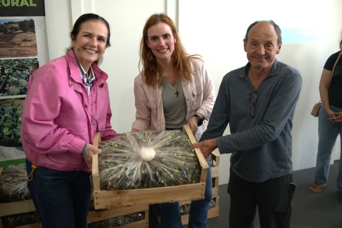 Prefeitura lança a segunda etapa do Programa de Cultivo ao Morango