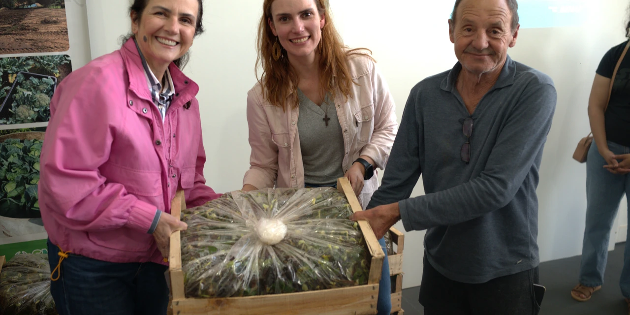 Prefeitura lança a segunda etapa do Programa de Cultivo ao Morango