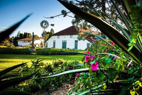 Museu Parque Histórico de Carambeí promove atividades em comemoração à Semana do Patrimônio e do Folclore