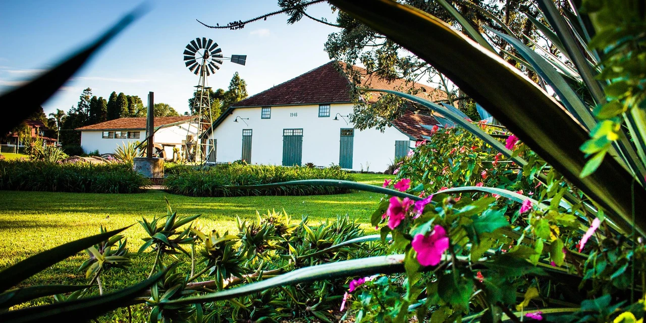 Museu Parque Histórico de Carambeí promove atividades em comemoração à Semana do Patrimônio e do Folclore