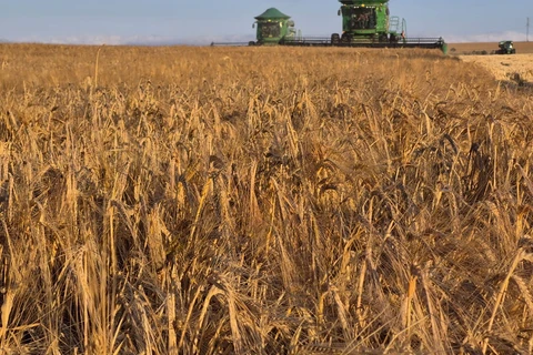 Capal completa 65 anos de história com expansão e fortalecimento de valores cooperativistas