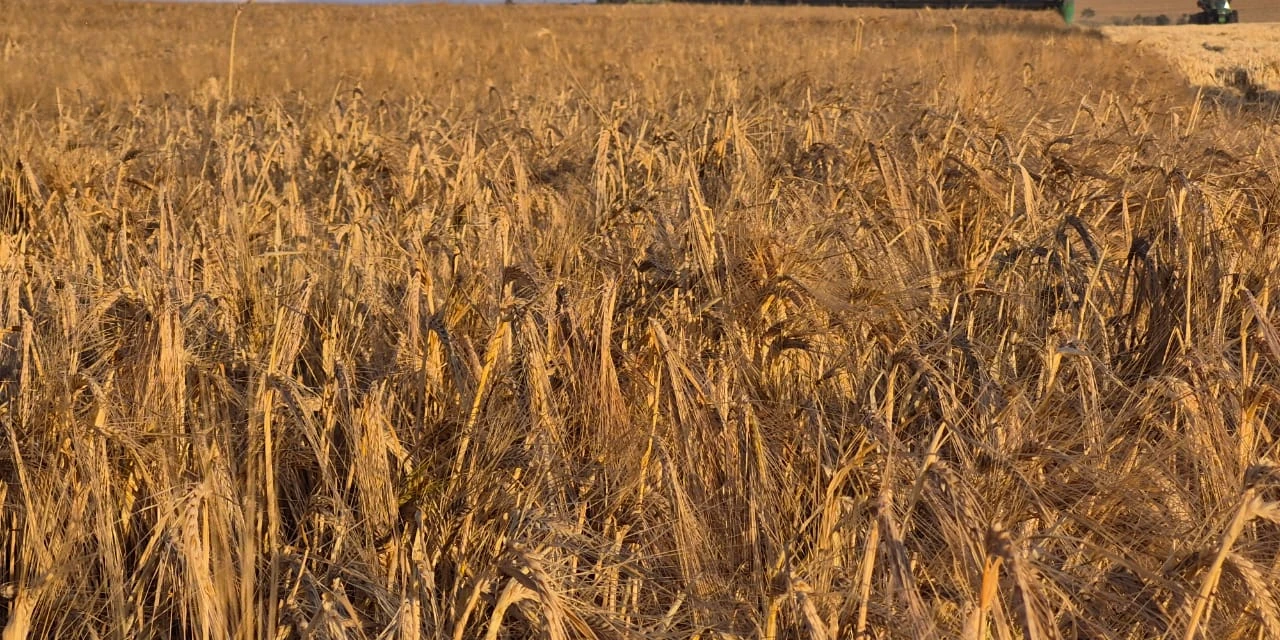 Capal completa 65 anos de história com expansão e fortalecimento de valores cooperativistas