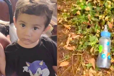 Forças de segurança fazem buscas por criança desaparecida em Tibagi