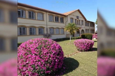 Colégio Meneleu oferta curso gratuito em Administração