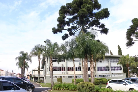 Prefeitura de Castro terá ponto facultativo na sexta-feira (21); confira quais serviços essenciais serão mantidos