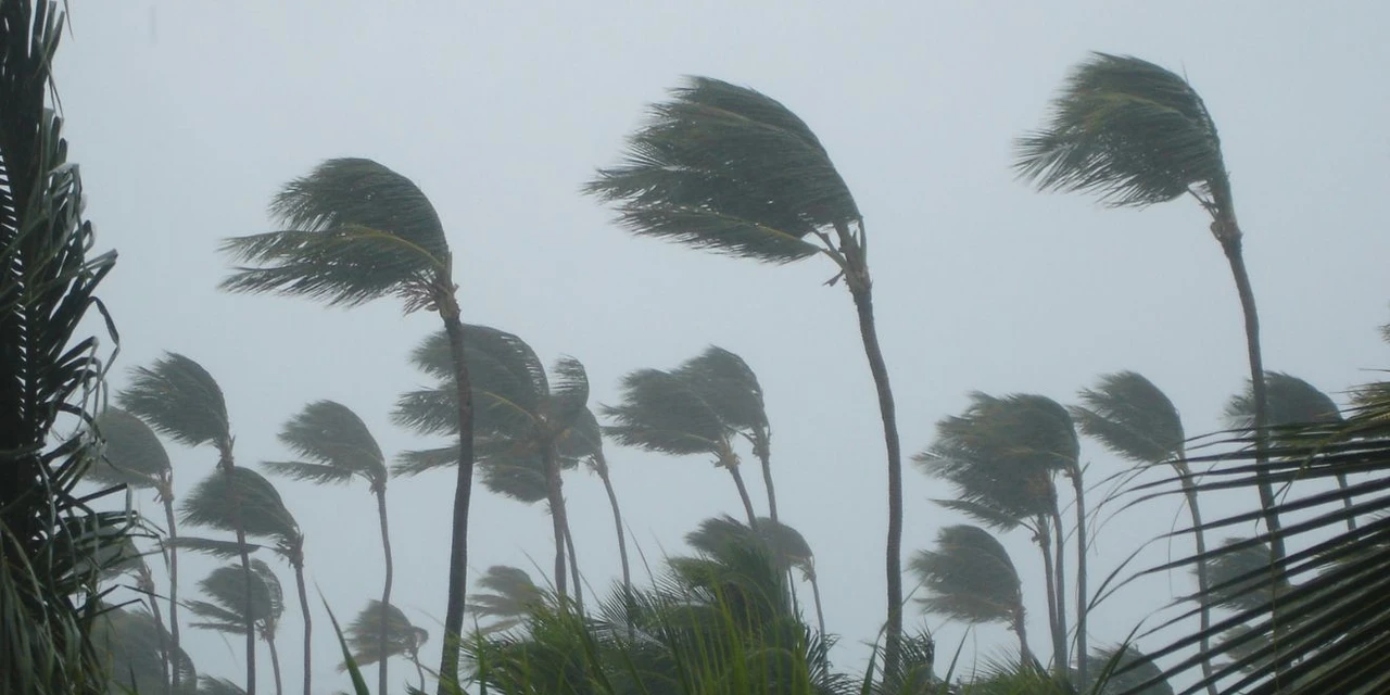 Ventos de 100 km/h: Paraná sente efeito de ciclone extratropical nesta quarta (10)