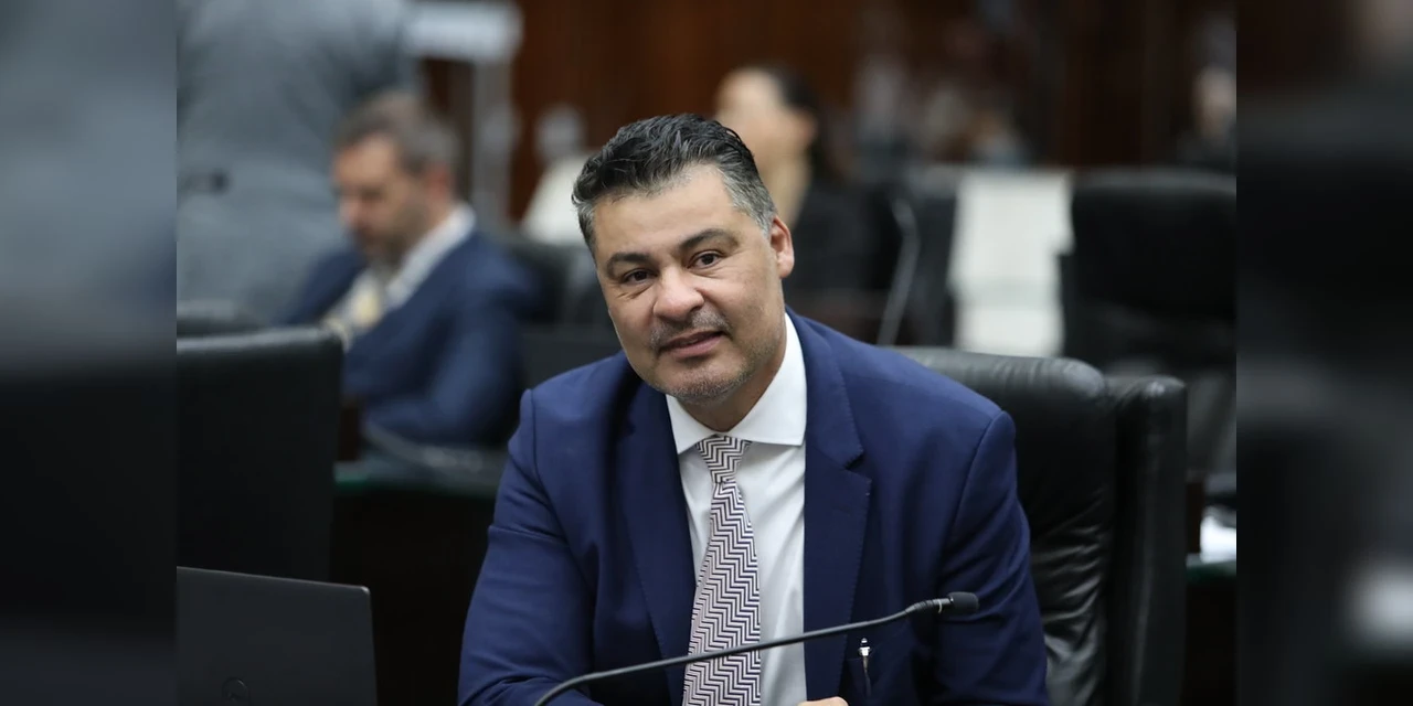 Projeto de lei no Paraná propõe incluir animais de estimação em medidas protetivas para casos de violência doméstica