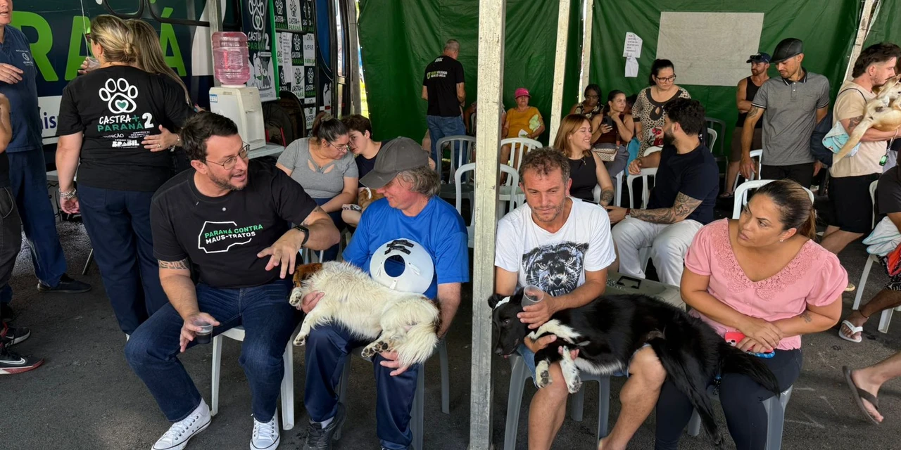 Castra+Paraná2 chega em Palmeira com castrações gratuitas