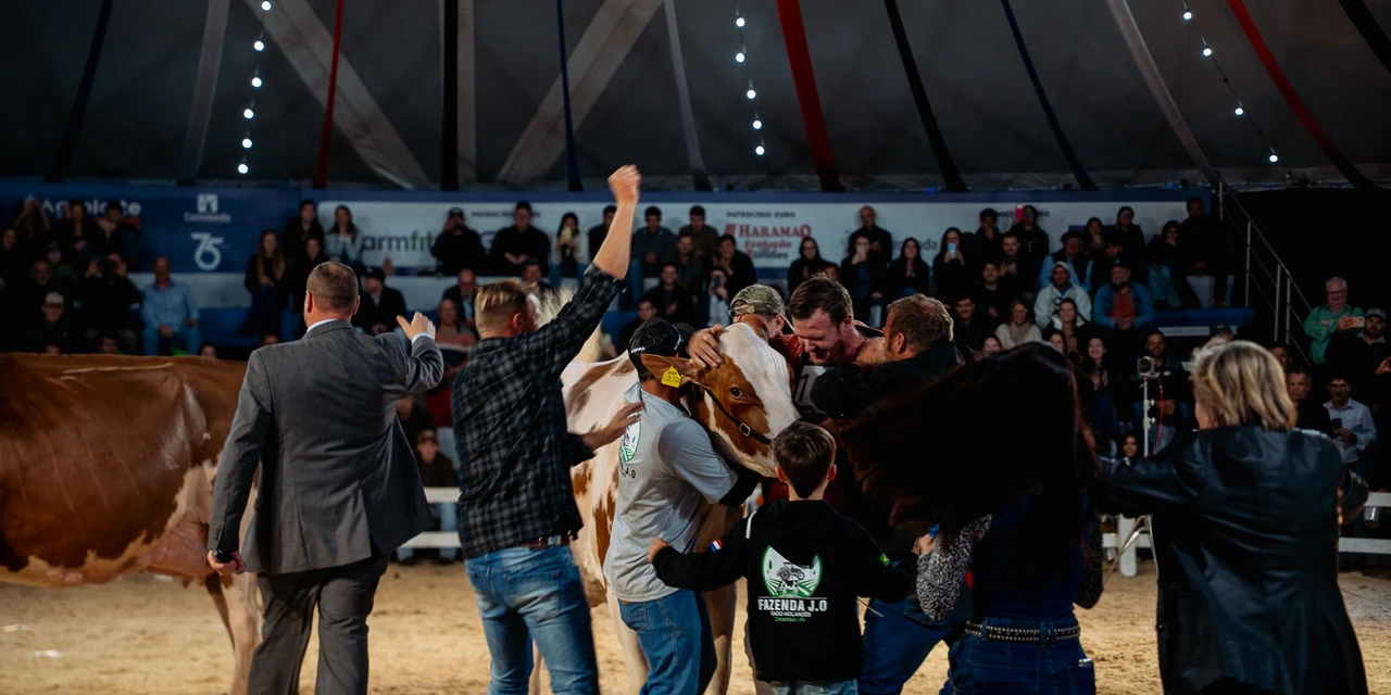 Bicampeã da Holandesa Vermelho e Branca é destaque nos julgamentos do Agroleite 2026